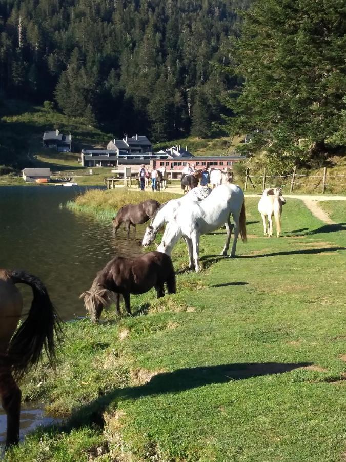 Gite Cosy Lac De Payolle Campan Exteriör bild